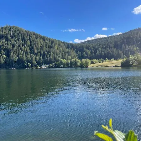 Διαμέρισμα Meuble T2 Le G De Gérardmer