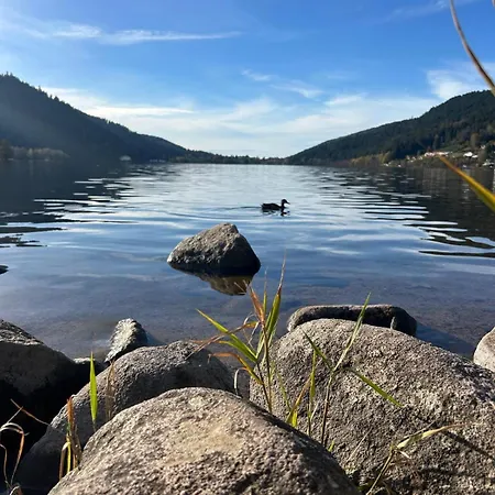 Apartment Meuble T2 Le G De