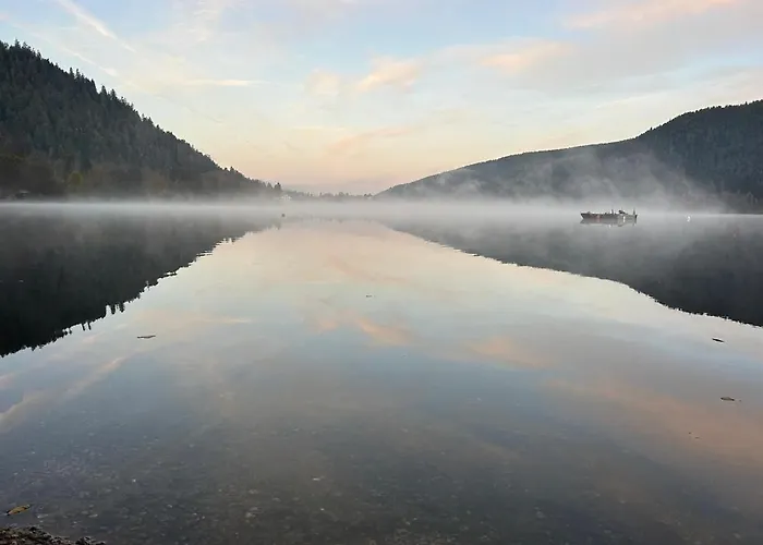 Διαμέρισμα Meuble T2 Le G De Gérardmer