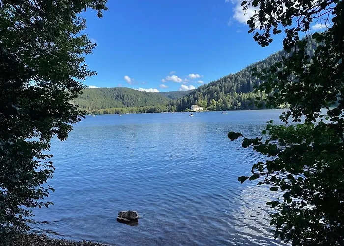 Meuble T2 Le G De Gérardmer