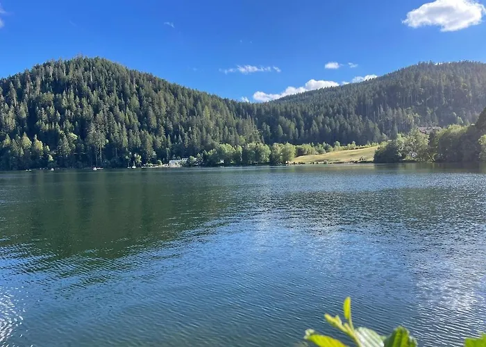 Διαμέρισμα Meuble T2 Le G De Gérardmer