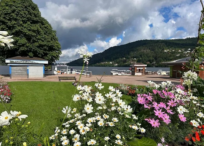 Meuble T2 Le G De Gérardmer