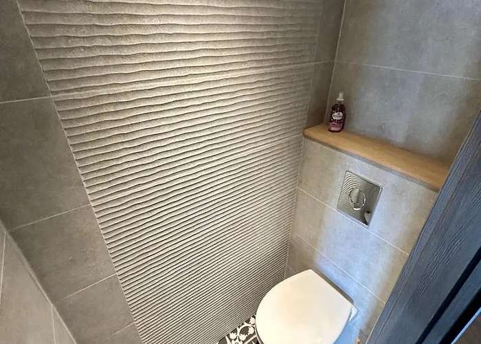 Διαμέρισμα Meuble T2 Le G De Gérardmer